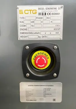 12 DG from 30 to 250 kW for a building site of Seven Chinese corporation  – фото 12 из 14