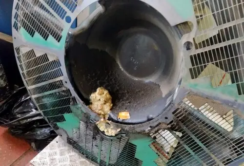 Repair of the engine and elimination of gas leak of a Cummins gas-powered electrical generator of Jacobs Rus coffee factory  – фото 19 из 21