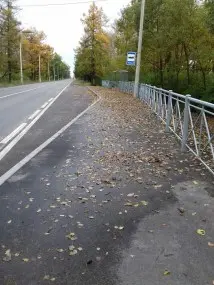  Капитальный ремонт проезжей части с организацией остановок городского пассажирского транспорта в Пушкинском районе – фото 16 из 48