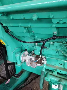 1000 kW Cummins DG for a settlement in Primorsky Krai – фото 16 из 20