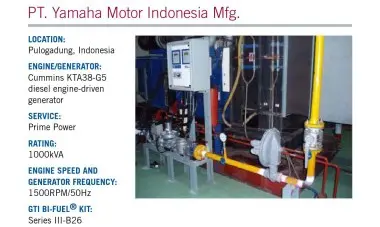 Двухтопливные (газодизельные) электростанции – фото 16 из 25