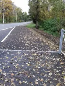  Капитальный ремонт проезжей части с организацией остановок городского пассажирского транспорта в Пушкинском районе – фото 20 из 48